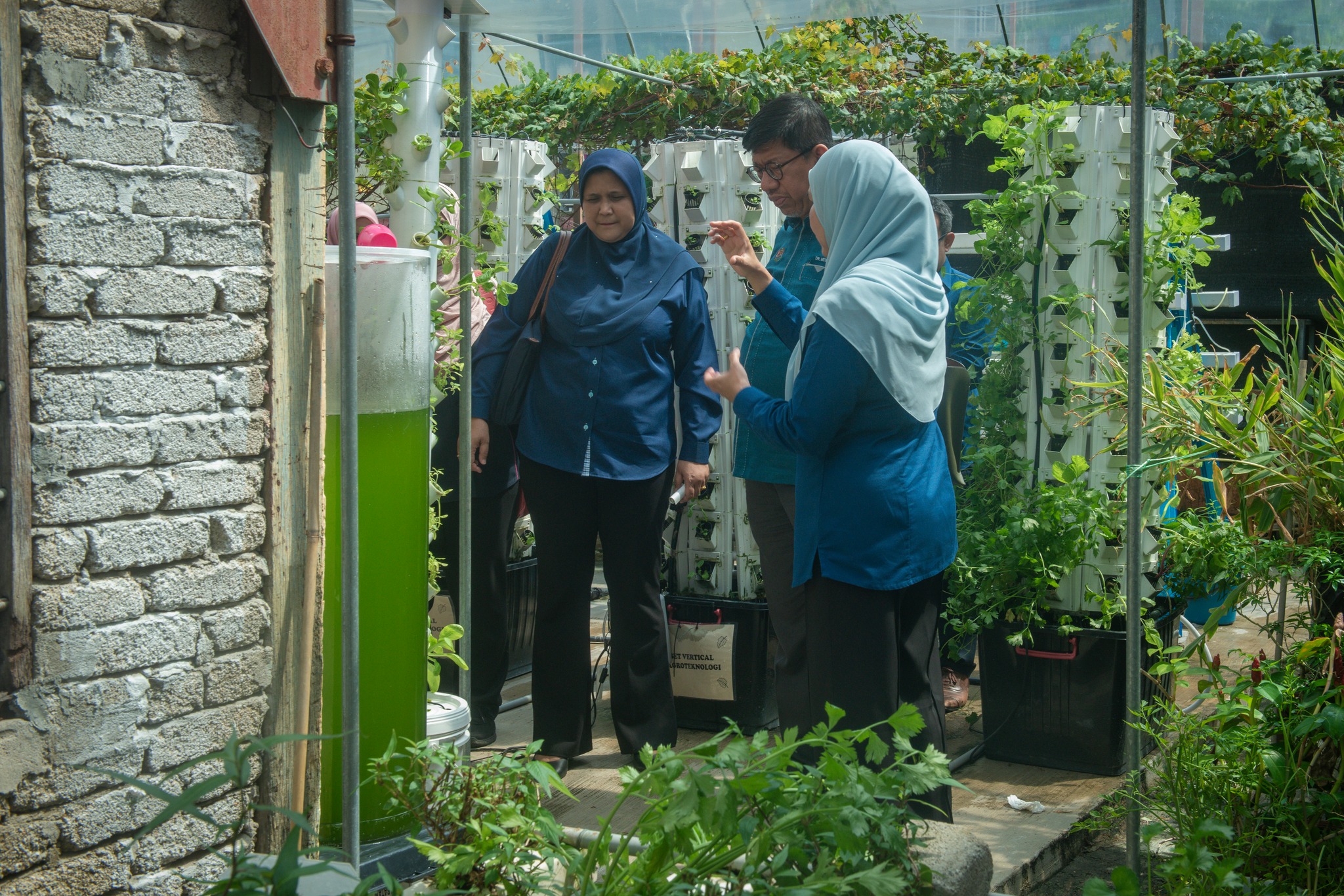 572788793 1333337752166304 5803432798677331894 n