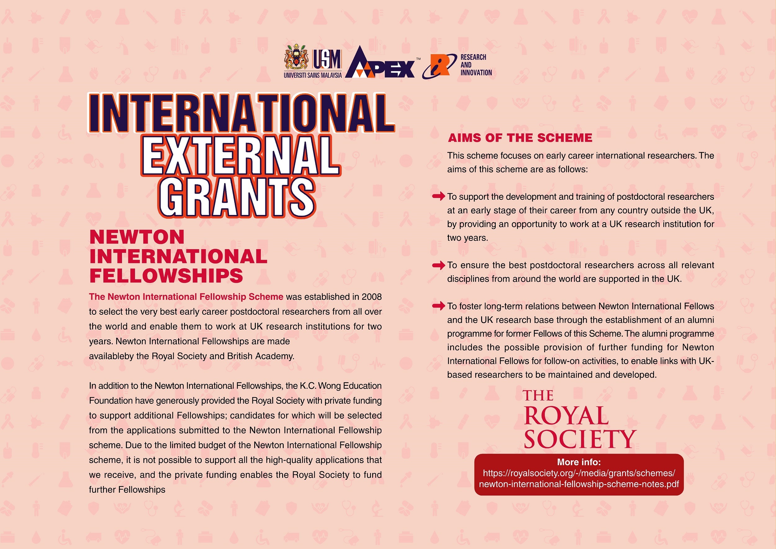 Poster External Grants International NEWTON INTERNATIONAL edited